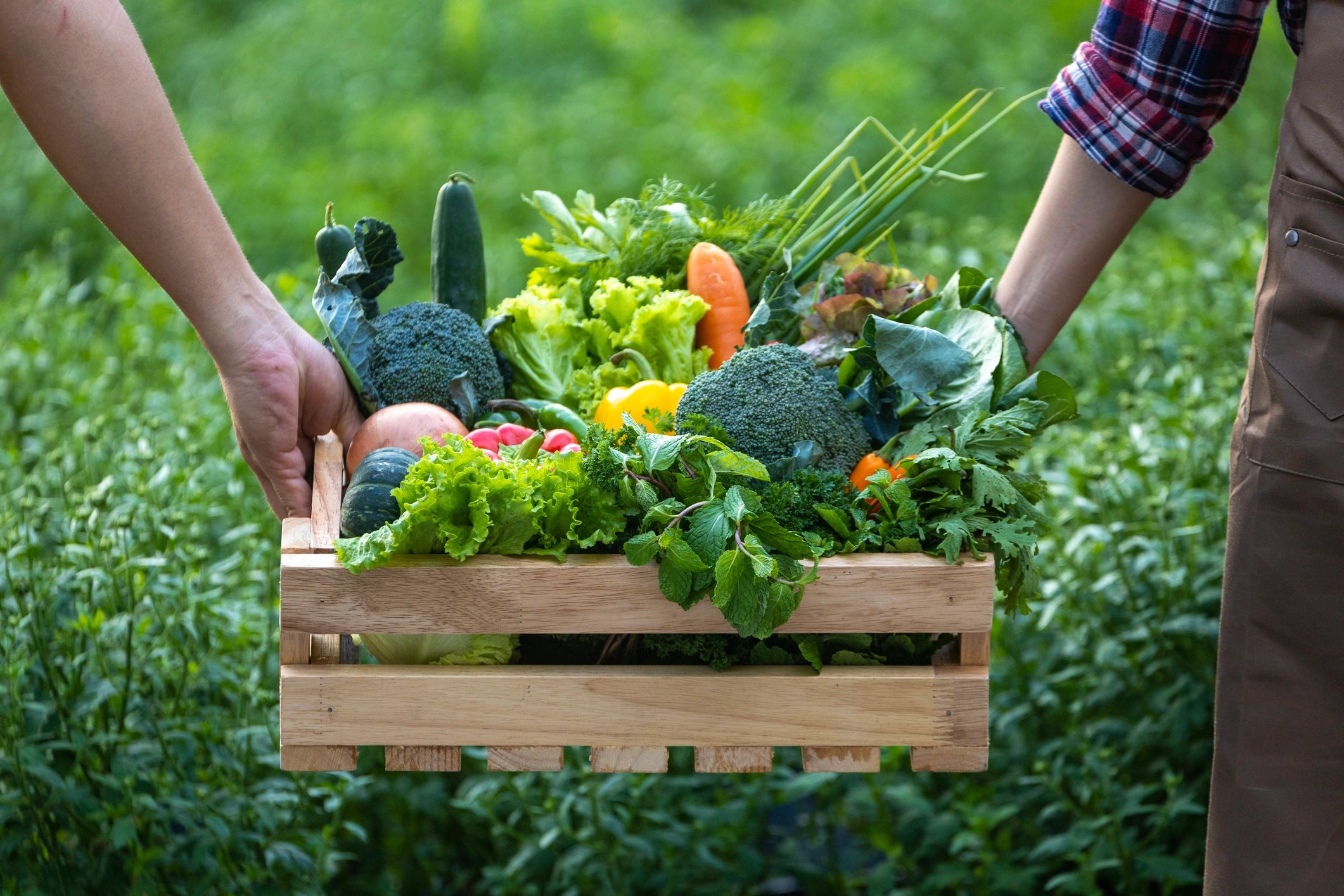 Colorful organic vegetables on farm table