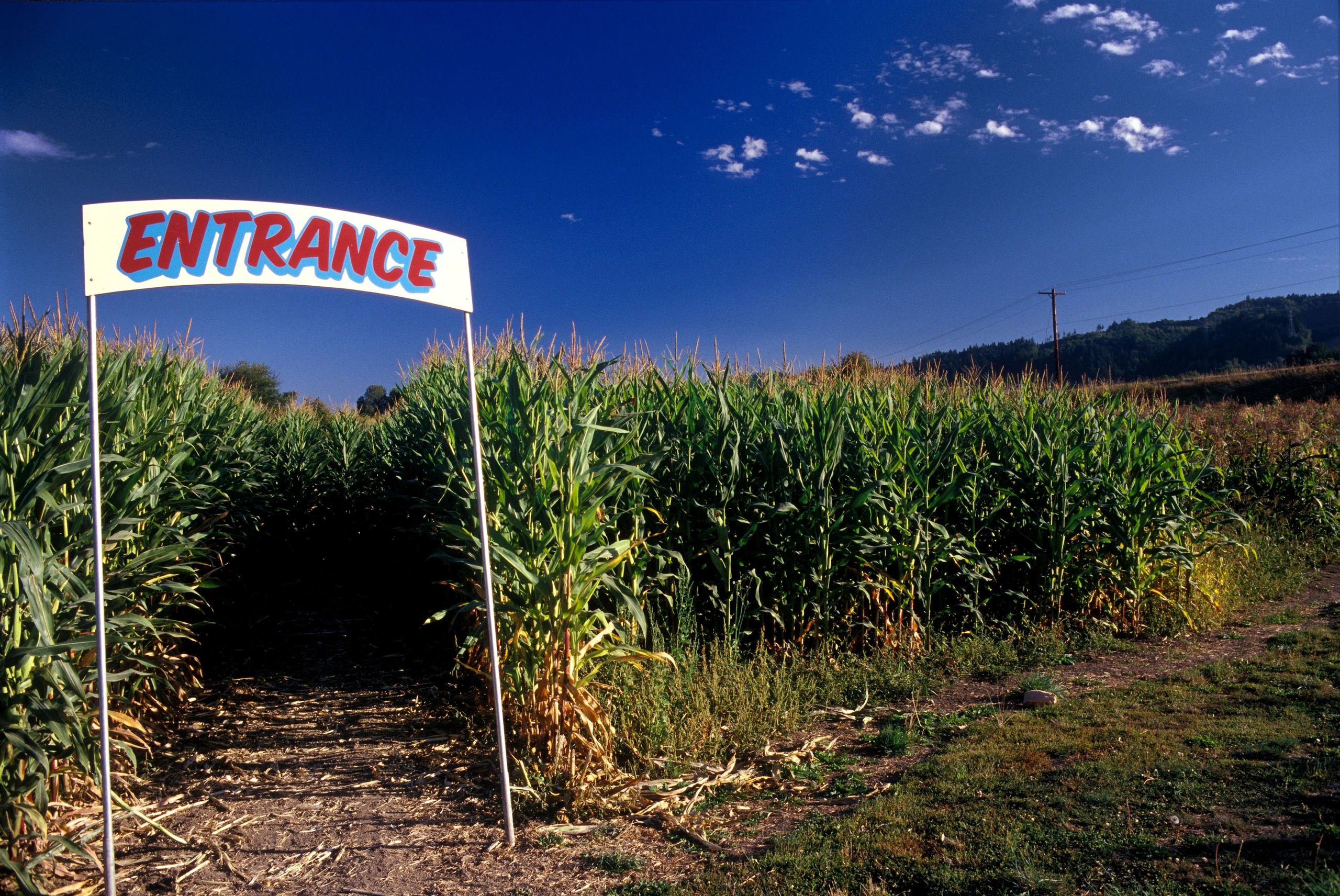 organic farm entrance sign