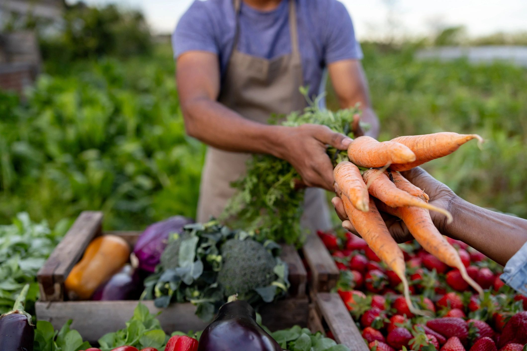 farmers market produce basket