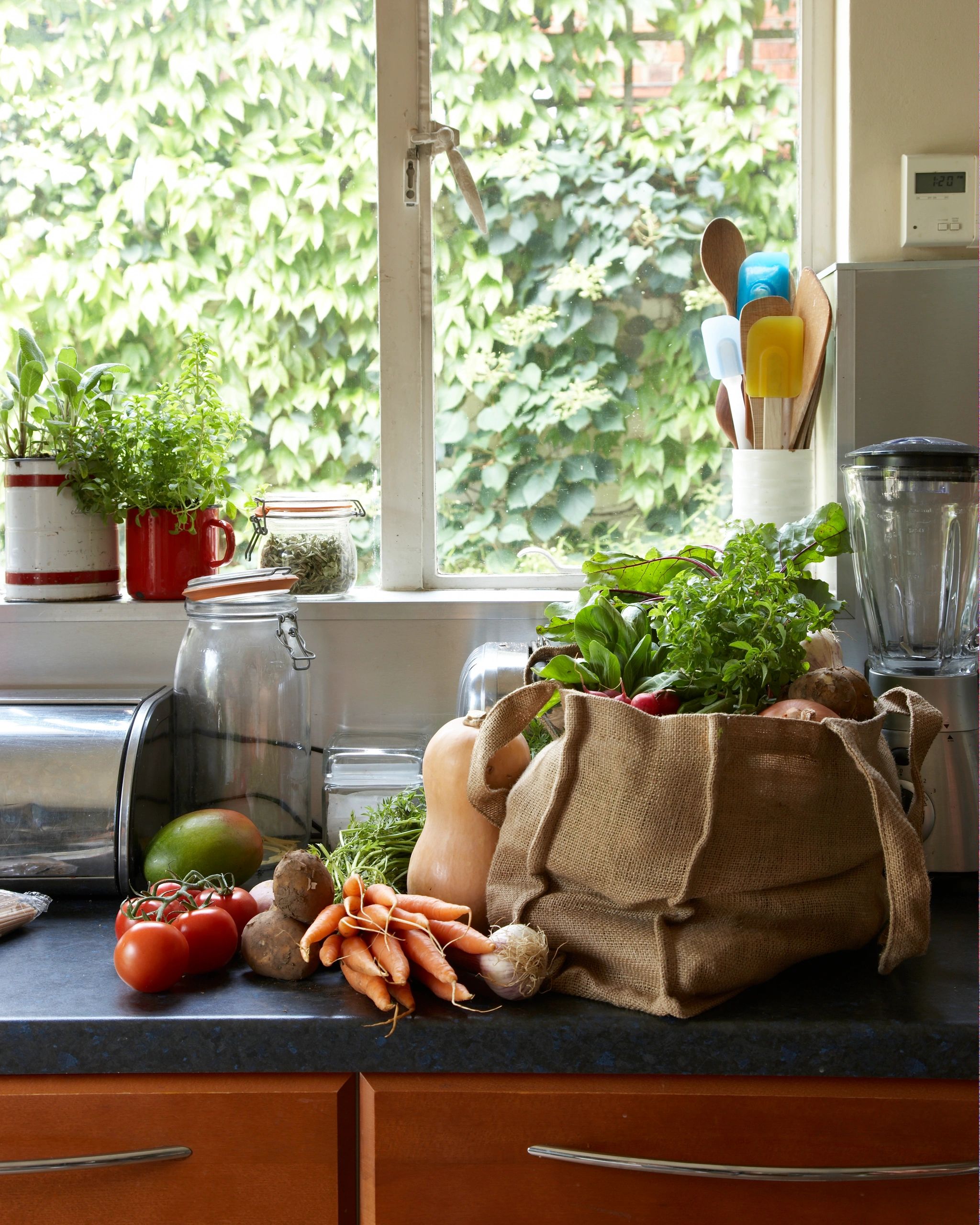 fresh organic vegetables